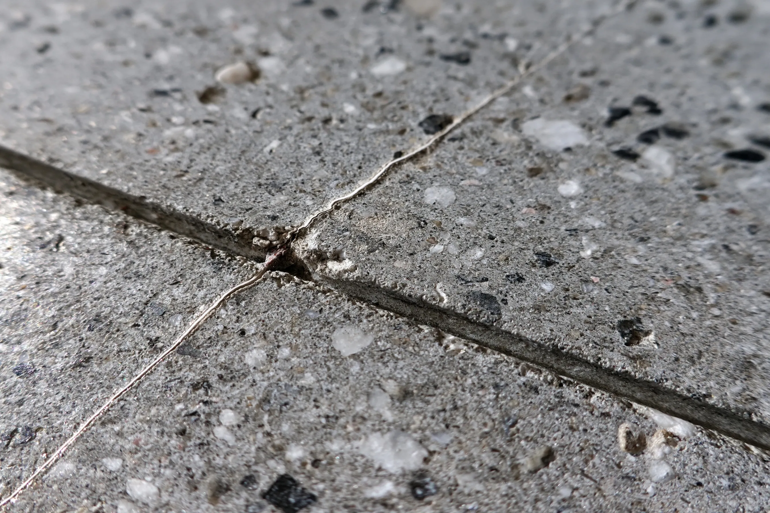 Close-up of salt-and-pepper polished concrete with small light and dark aggregate flecks, a hairline crack and a saw-cut joint